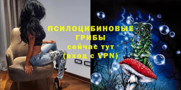 СК Нефтегорск
