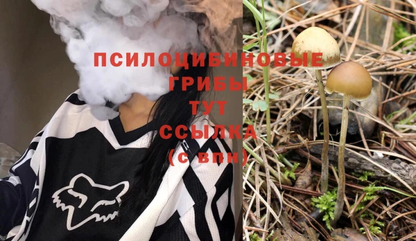 мдпв Нея