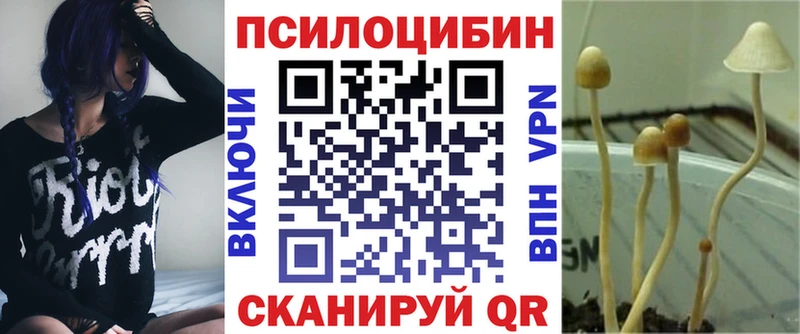 как найти наркотики  Азнакаево  Галлюциногенные грибы ЛСД 