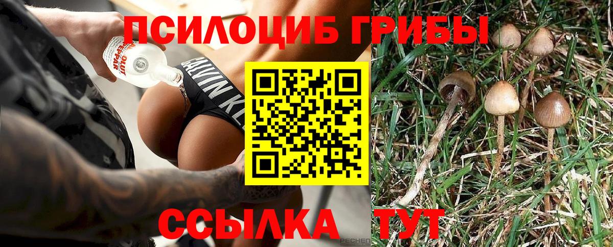 купить наркотик  Галлюциногенные грибы Psilocybe  Вход с VPN  Азнакаево 