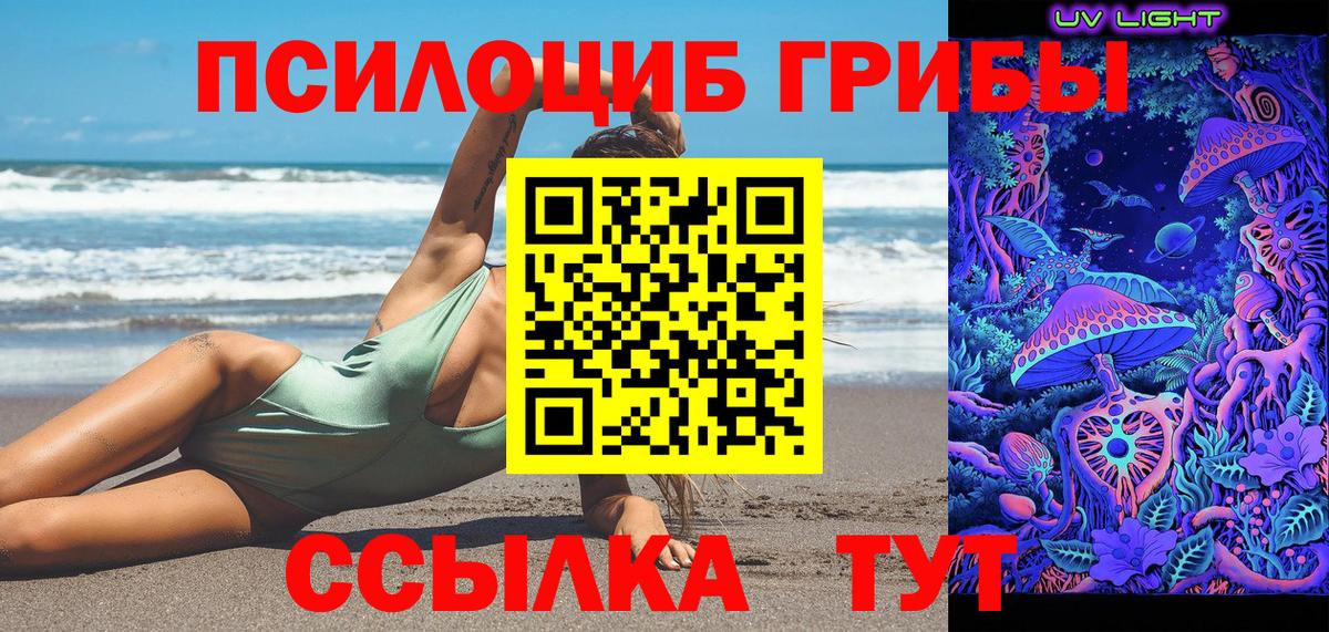 Псилоцибиновые грибы прущие грибы Азнакаево