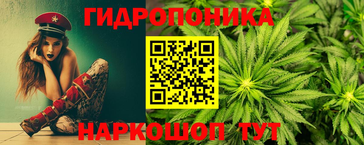 Азнакаево  Конопля тримм  Бошки Шишки OG Kush  Вход с VPN  МАРИХУАНА Amnesia 